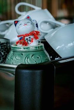 chắn Nohu
